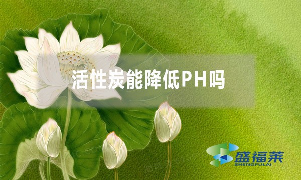 活性炭能降低PH嗎？為什么？