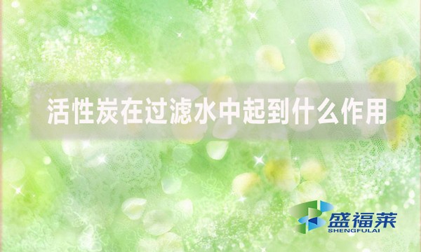 活性炭在過濾水中起到什么作用？