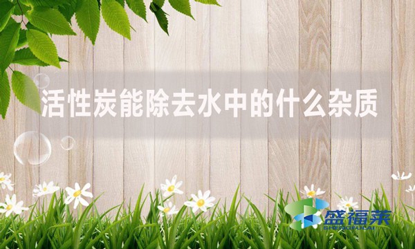 活性炭能除去水中的什么雜質(zhì)？