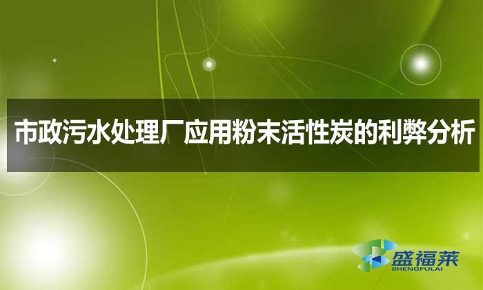 市政污水處理廠(chǎng)應(yīng)用粉末活性炭的利弊分析